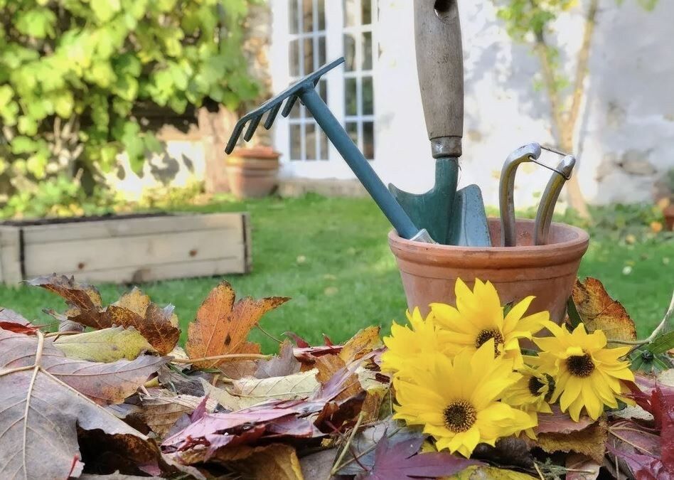 ���� ������� �����, ����� ����������� ��� � ����: ������ ������� ���������