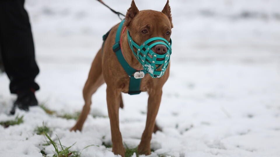 � ������� ���������� �������� ���������� ��� ��� �������� �� ��������� ���������