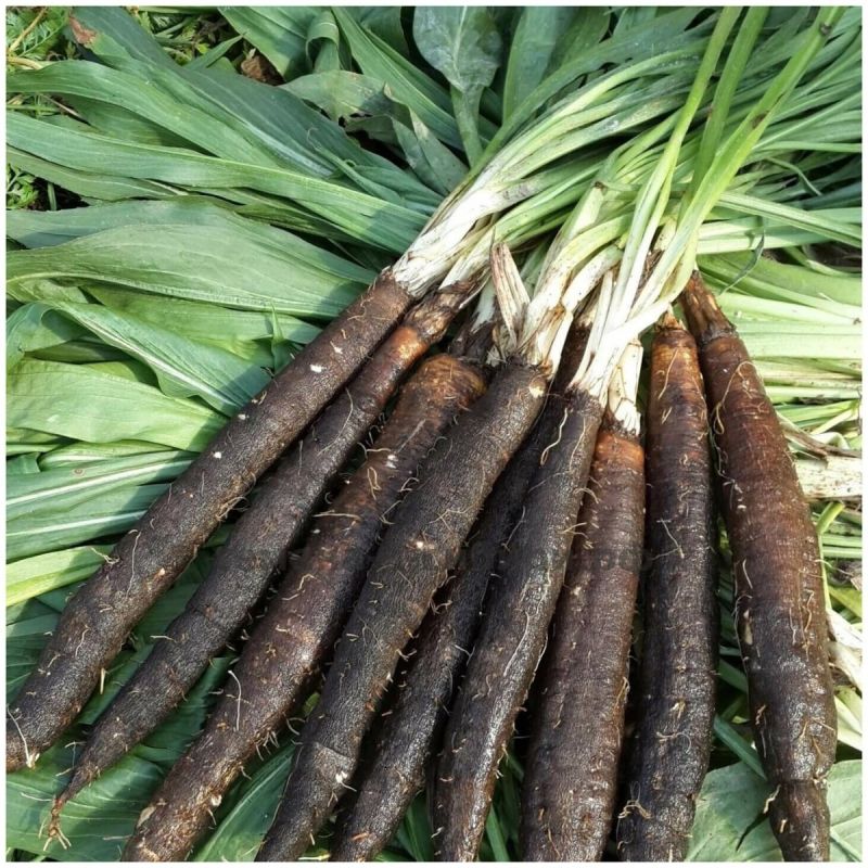 ������� ����: ��� �������� �������� ������ ���� ����� ����