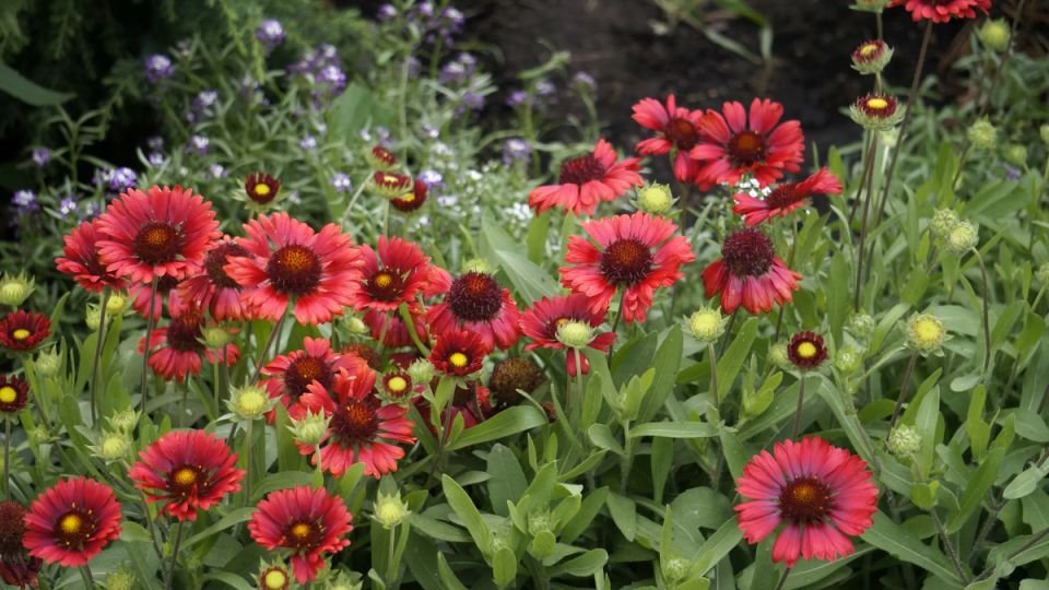 �����, ��� ������ � �����: ������� �������� ��� ��� ������