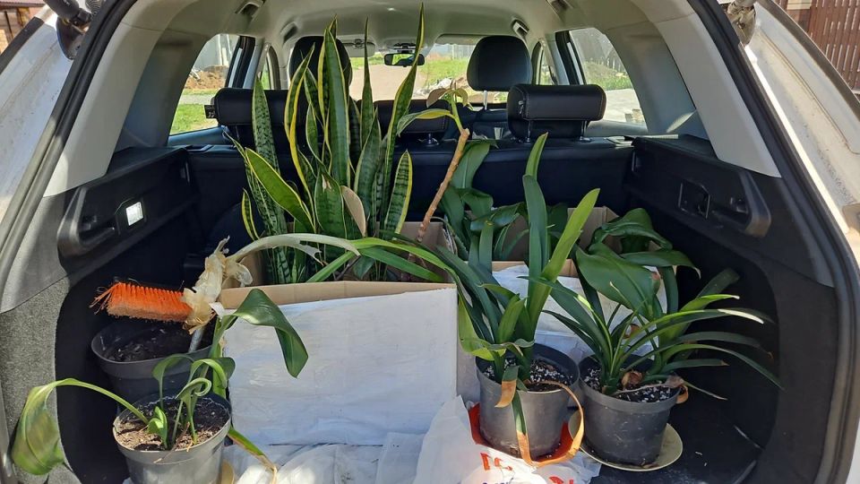 ��� ����������� �� ������ ������ ����� ��� �������� � ������� ����� ������