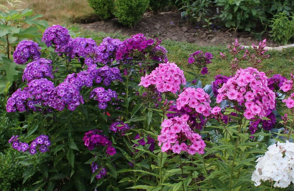 ��� ����� ���������� ������: ������ ��� ���������