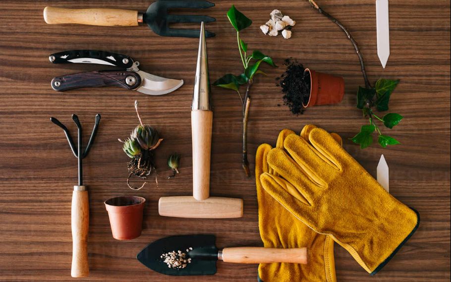 ������� ���������� ����: ��� ������������� �������� � ����� �� ����������