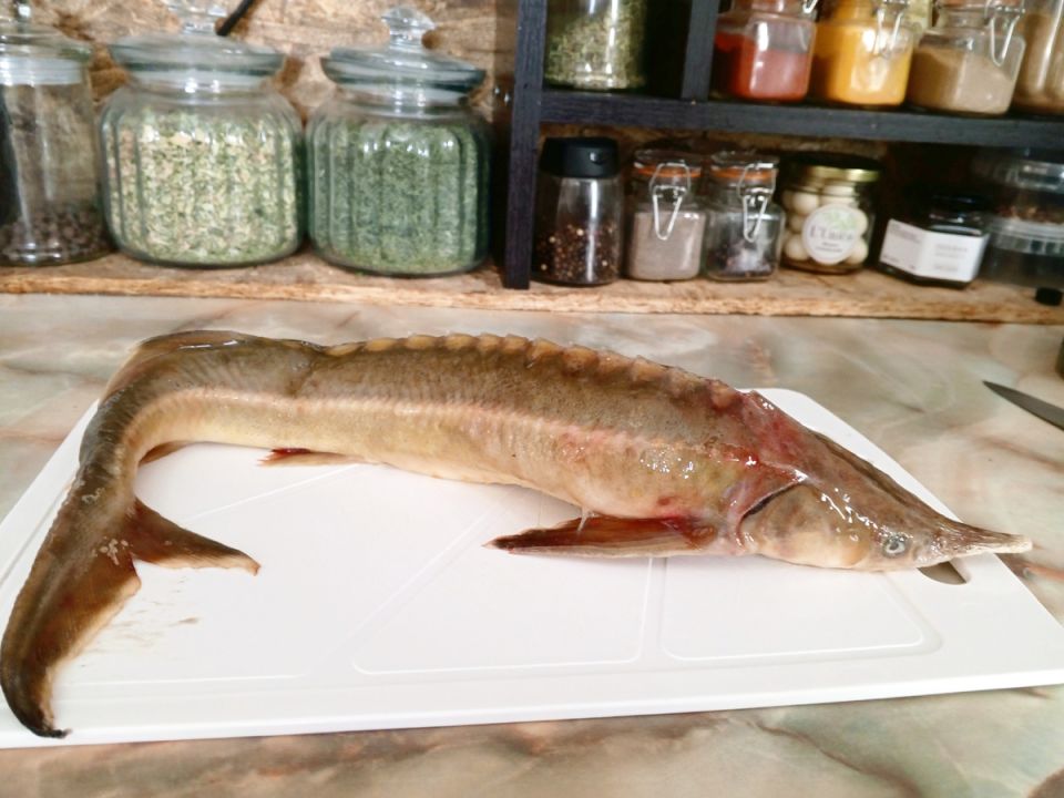 ��� ������ ���������� �� ������ �� ����: ������� ������� ��� �������� �����