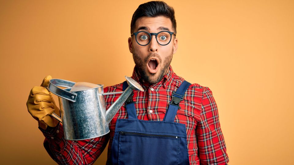 ���������� ������ � ������ ������� ��� �� ����: �������� ��� ����� ������