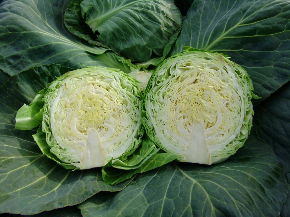 ������ ������ ����� ������� ��� ������� ������