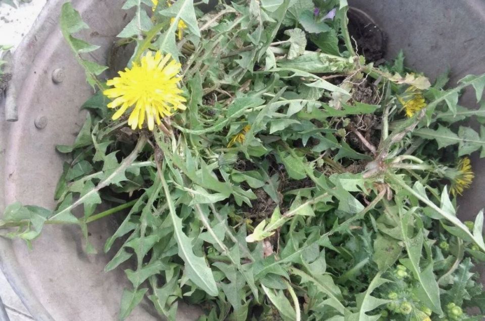 ��� ���������� ����� ����� ����� ������� ���������