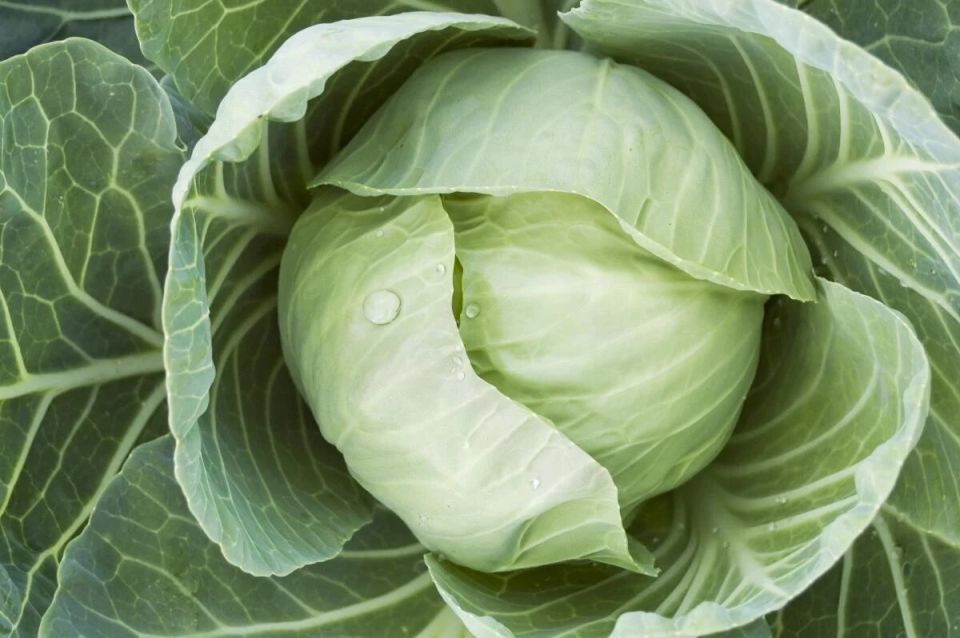 ������� �������� ��������� ������� ������� ��� �������� ������