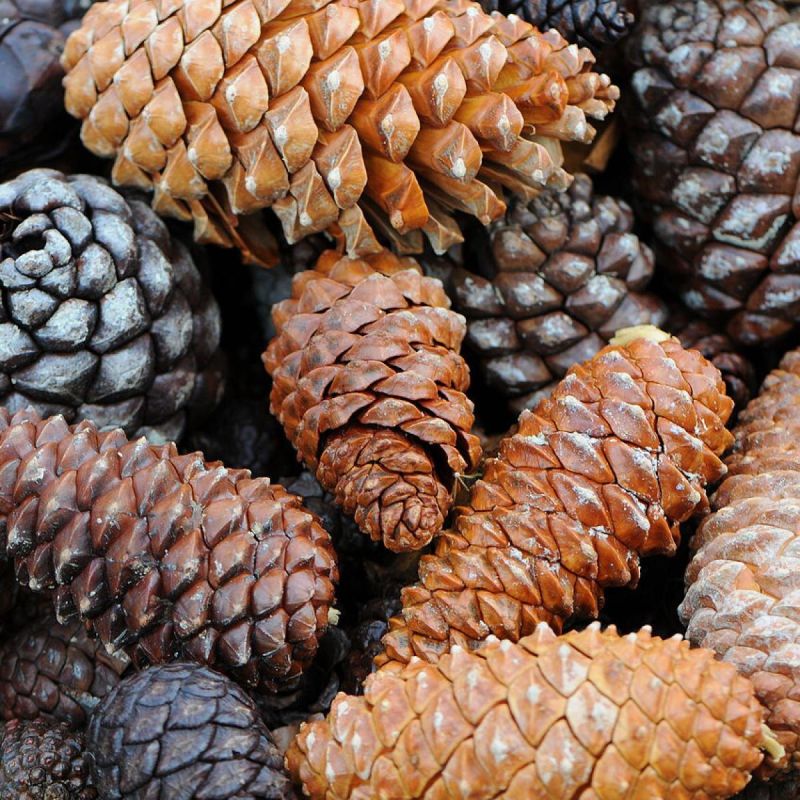 ����� ��� ��� ������� ����� � ��� ��������� � ������� ����