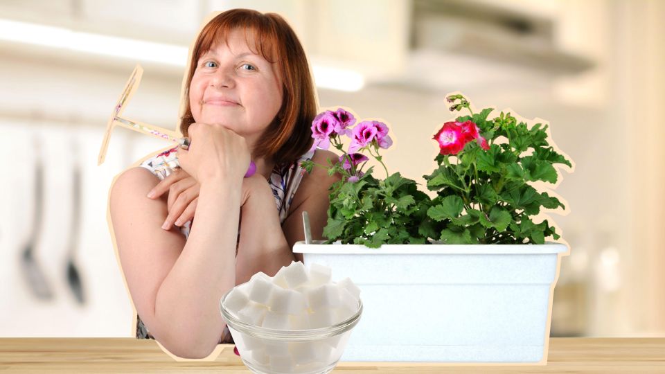 ��� ������� ������� ��������� ����� ��� ������ ������: ��� ������ ��� ����������