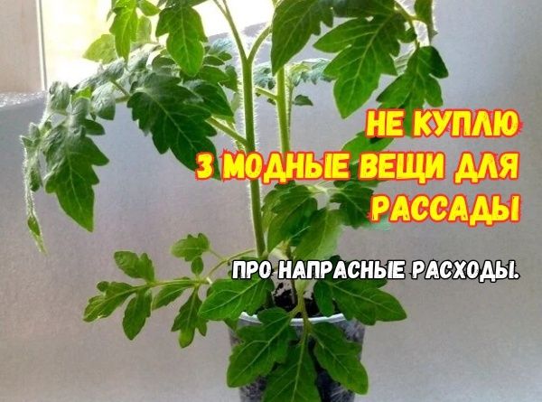 ��� ���������� �� �������: ��� ����, ������� �� �����