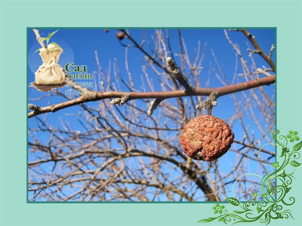 ������� ������������ ����: ��������� ����� ������ �� ���������� � ��������