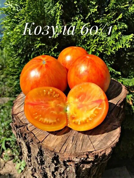 ����� ������ 60: ������� ��������� ������ ���������� ������