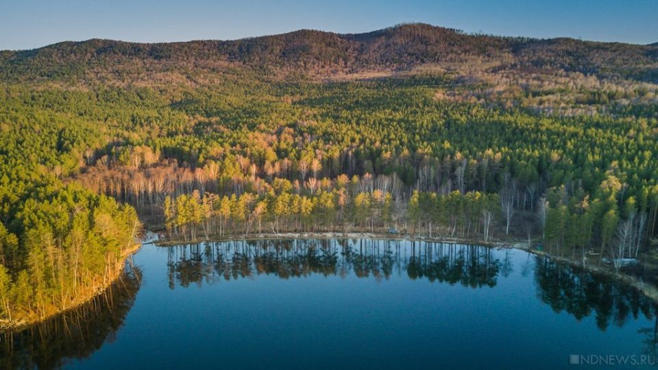 ������� ������ ������������� �� ����: � ������� ������� ��������� ��������