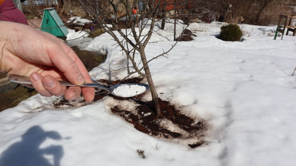 ������ ��� ������: ������� ��������� ��������� ��� �������� � ������� ������