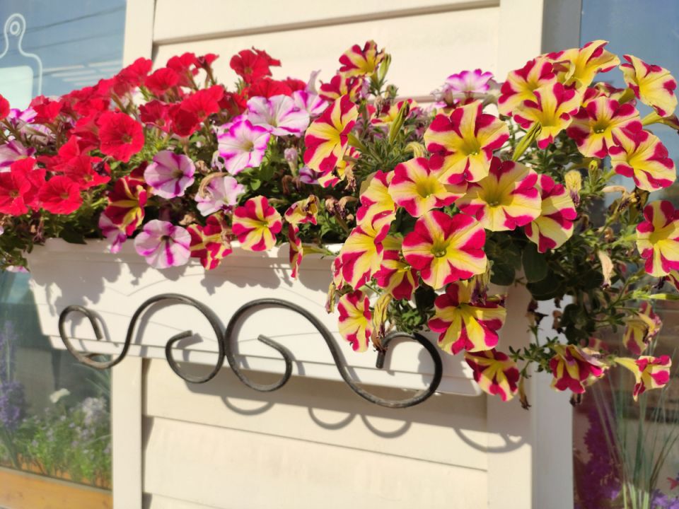 ��� ����� �������� �������: ����������� ������ ��� ��������� ��������