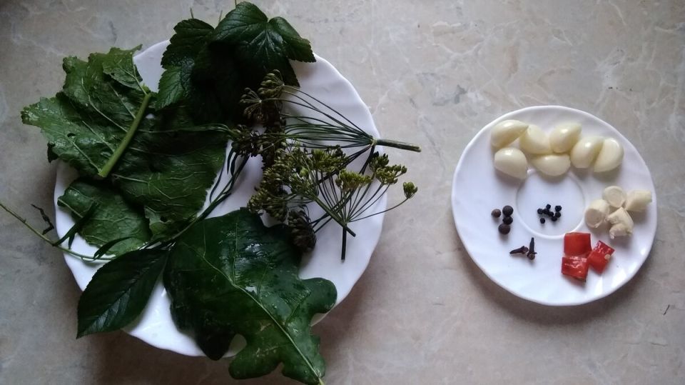 Вкусные солёные огурцы: хрустящие и без уксуса