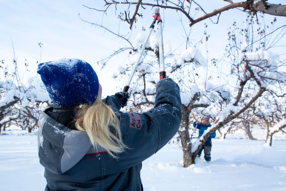 ������� �������� �������� � �������: �� � ������