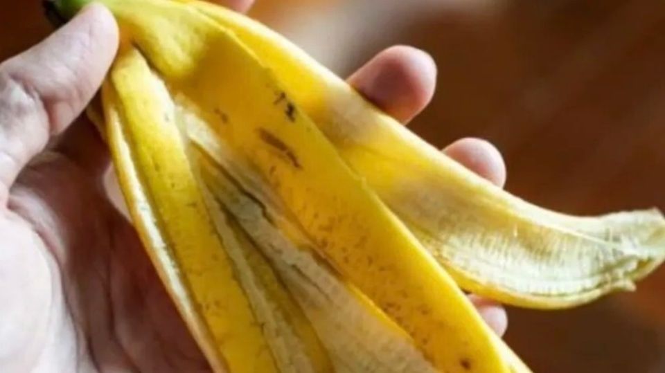 Как заморозить банановое удобрение и забыть о проблемах с растениями зимой